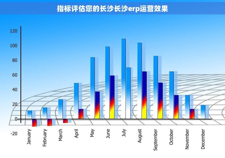 指标评估您的长沙长沙erp运营效果