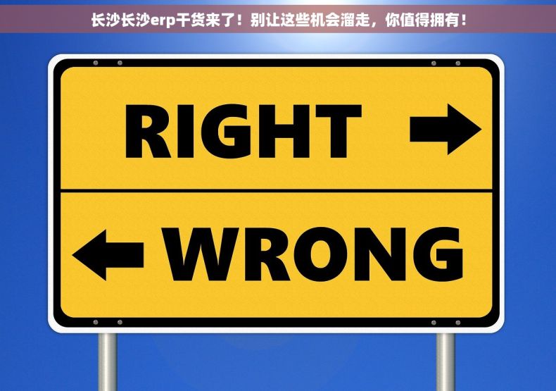 长沙长沙erp干货来了！别让这些机会溜走，你值得拥有！