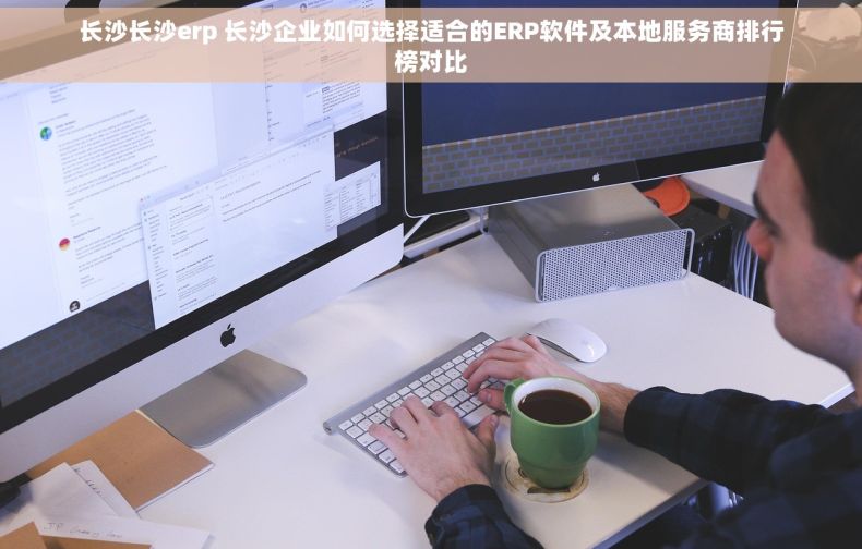 长沙长沙erp 长沙企业如何选择适合的ERP软件及本地服务商排行榜对比