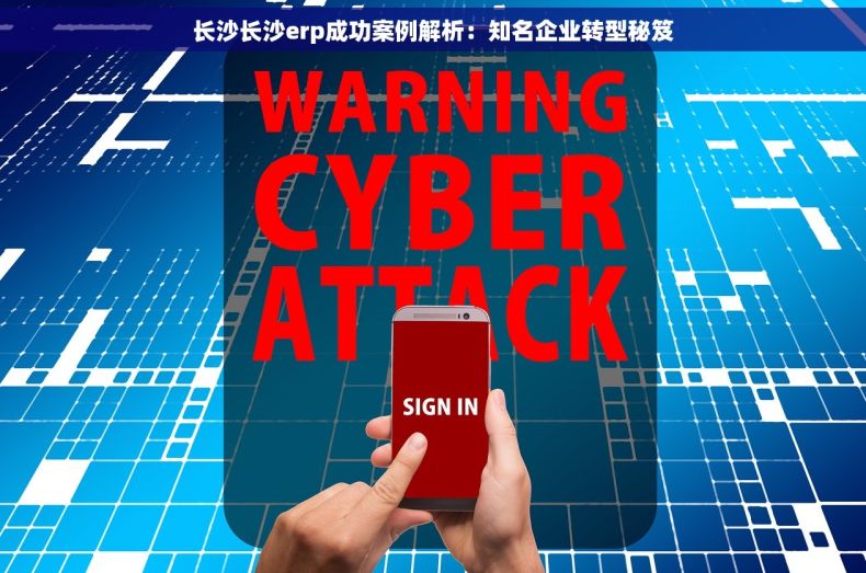 长沙长沙erp成功案例解析：知名企业转型秘笈