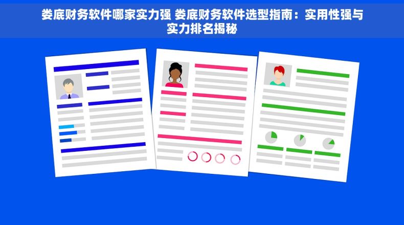 娄底财务软件哪家实力强 娄底财务软件选型指南：实用性强与实力排名揭秘