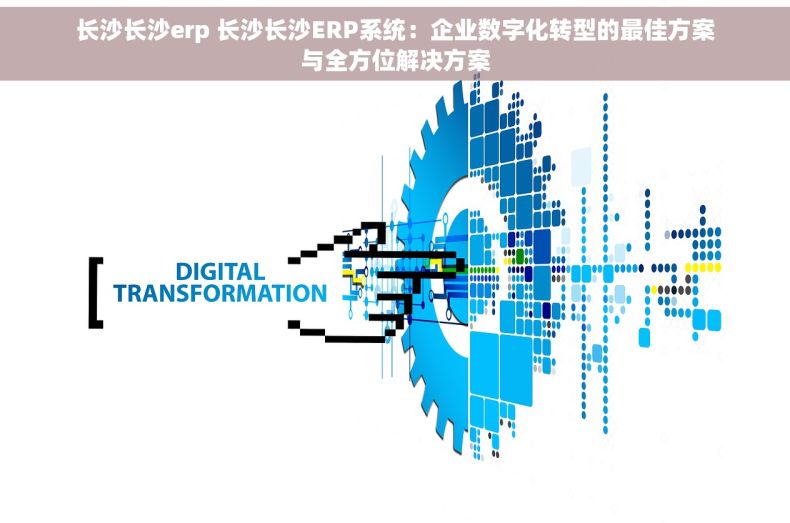 长沙长沙erp 长沙长沙ERP系统：企业数字化转型的最佳方案与全方位解决方案