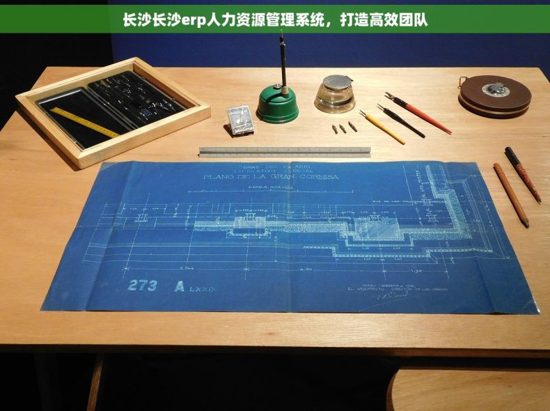 长沙长沙erp人力资源管理系统，打造高效团队