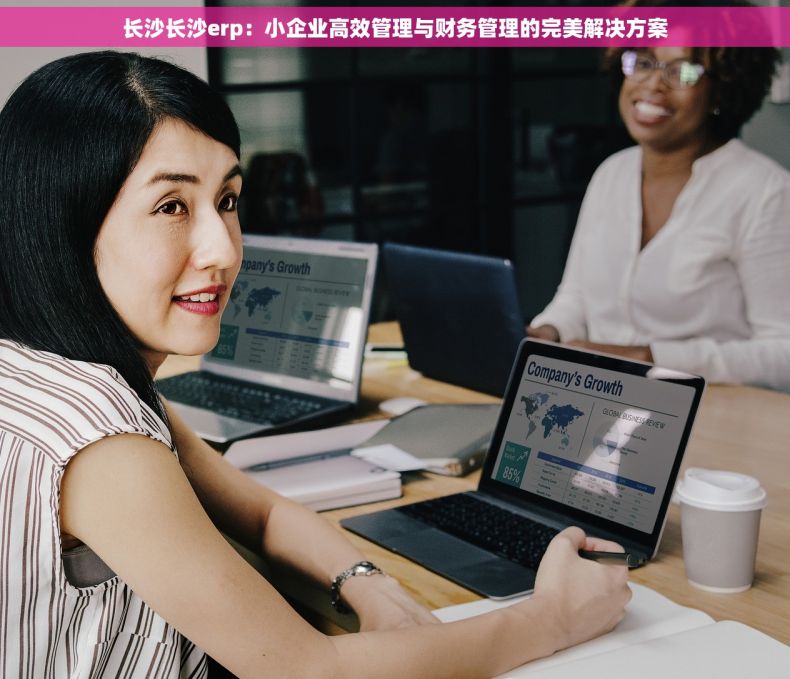 长沙长沙erp：小企业高效管理与财务管理的完美解决方案