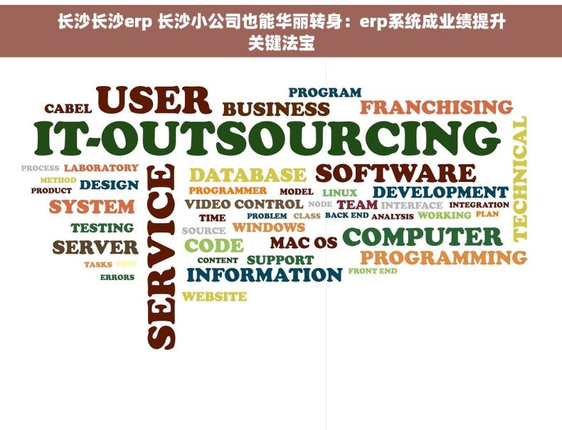 长沙长沙erp 长沙小公司也能华丽转身：erp系统成业绩提升关键法宝