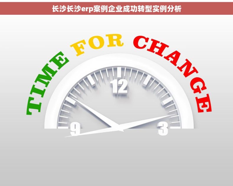 长沙长沙erp案例企业成功转型实例分析