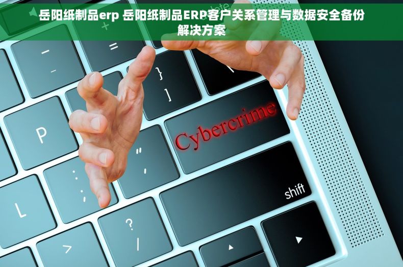 岳阳纸制品erp 岳阳纸制品ERP客户关系管理与数据安全备份解决方案