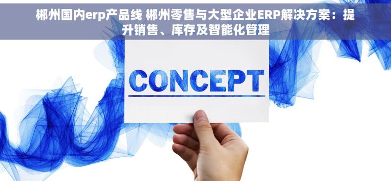 郴州国内erp产品线 郴州零售与大型企业ERP解决方案：提升销售、库存及智能化管理