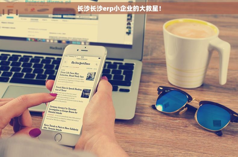 长沙长沙erp小企业的大救星！
