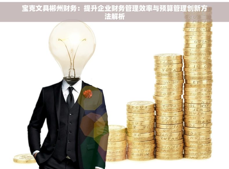 宝克文具郴州财务：提升企业财务管理效率与预算管理创新方法解析
