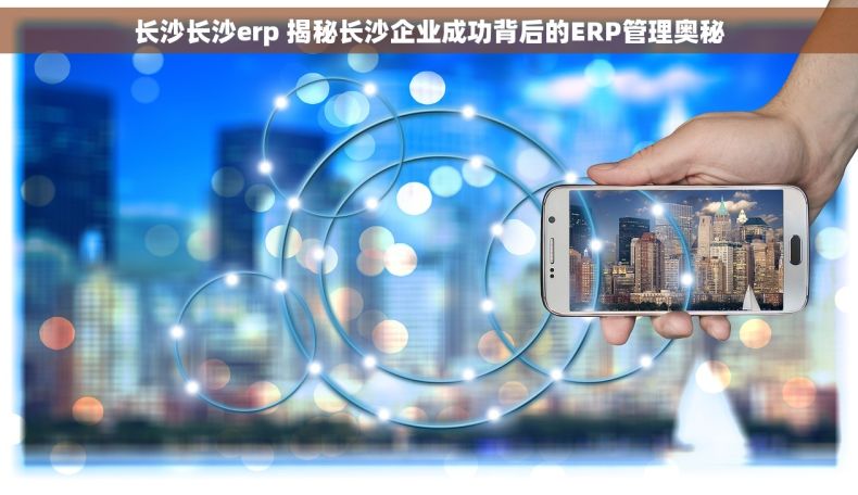 长沙长沙erp 揭秘长沙企业成功背后的ERP管理奥秘