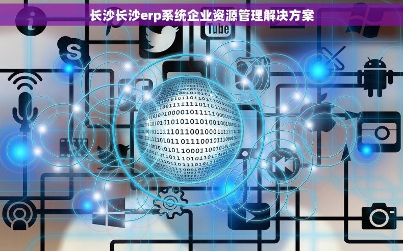 长沙长沙erp系统企业资源管理解决方案
