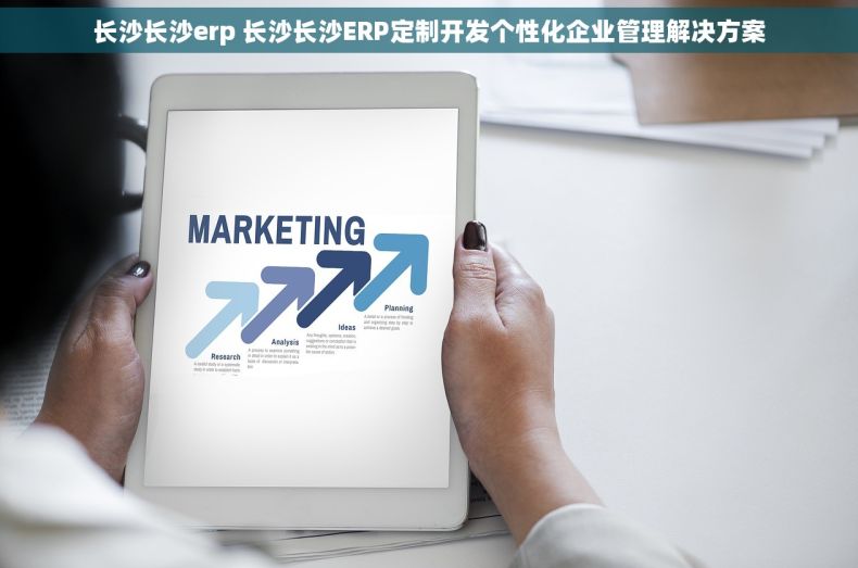 长沙长沙erp 长沙长沙ERP定制开发个性化企业管理解决方案