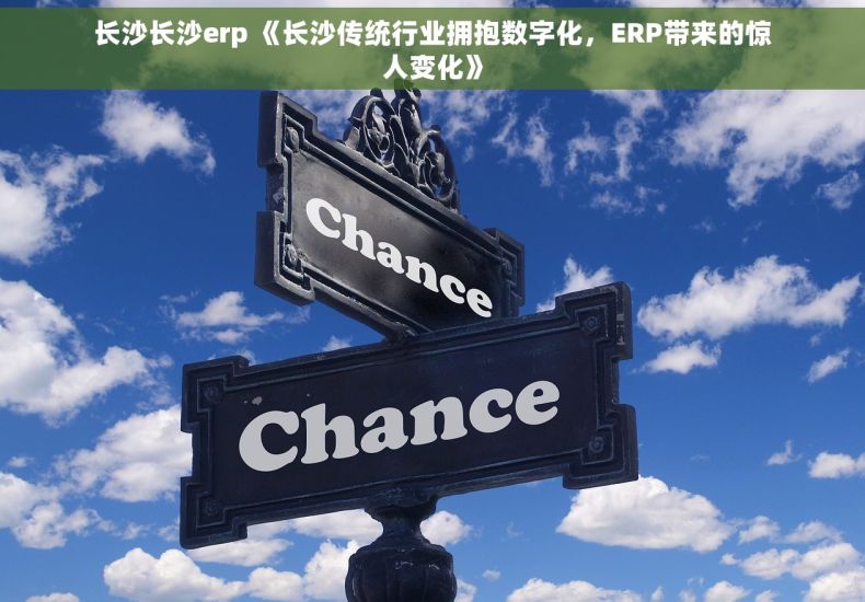 长沙长沙erp 《长沙传统行业拥抱数字化，ERP带来的惊人变化》