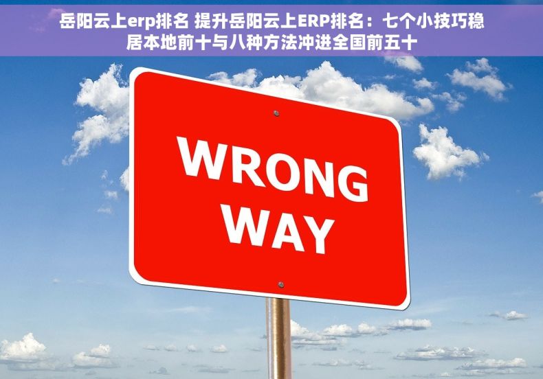 岳阳云上erp排名 提升岳阳云上ERP排名：七个小技巧稳居本地前十与八种方法冲进全国前五十