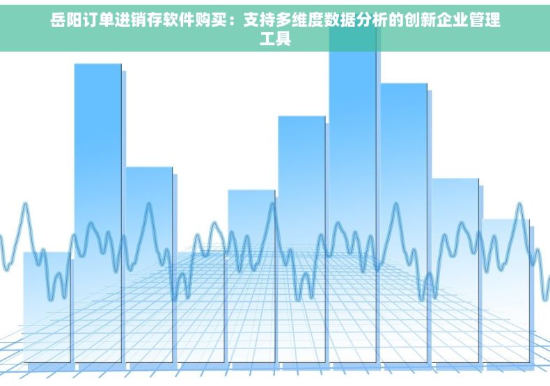 岳阳订单进销存软件购买：支持多维度数据分析的创新企业管理工具