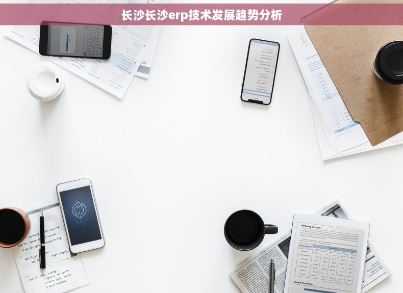 长沙长沙erp技术发展趋势分析