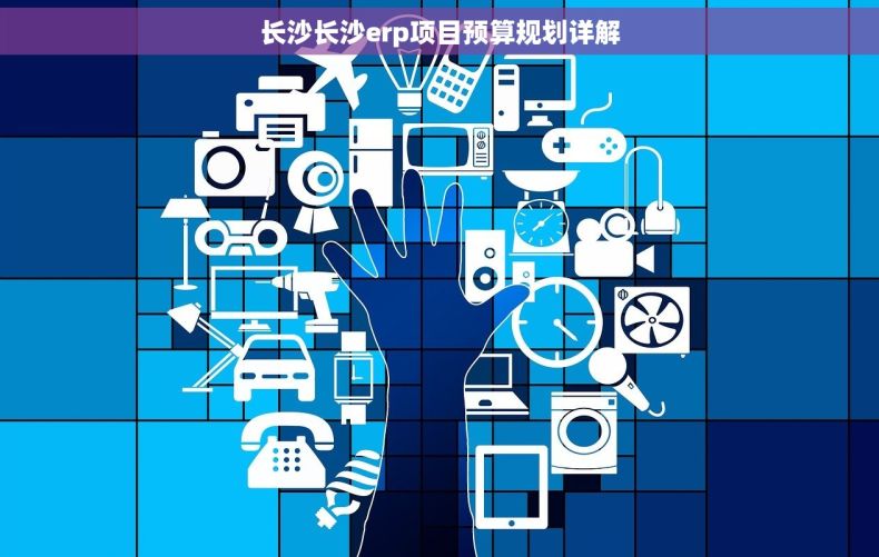 长沙长沙erp项目预算规划详解