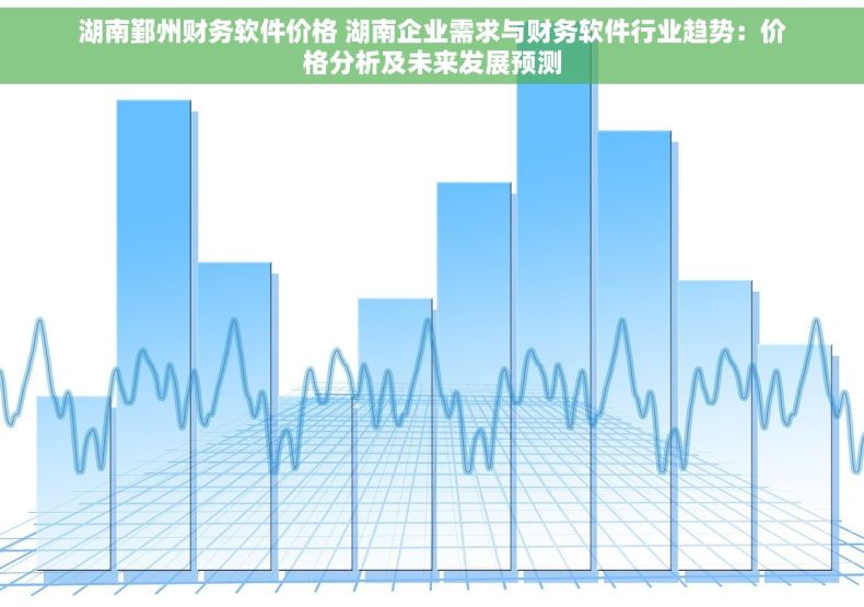 湖南鄞州财务软件价格 湖南企业需求与财务软件行业趋势：价格分析及未来发展预测