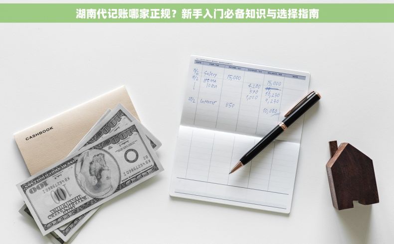 湖南代记账哪家正规？新手入门必备知识与选择指南