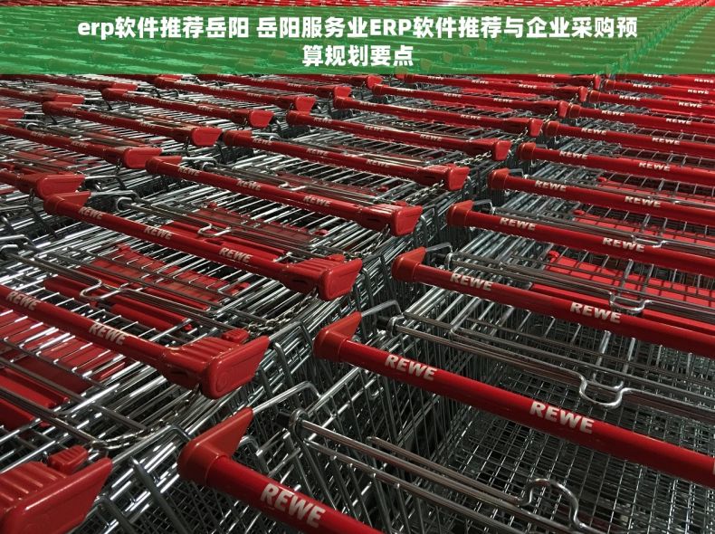 erp软件推荐岳阳 岳阳服务业ERP软件推荐与企业采购预算规划要点