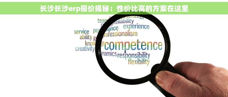 长沙长沙erp报价揭秘：性价比高的方案在这里