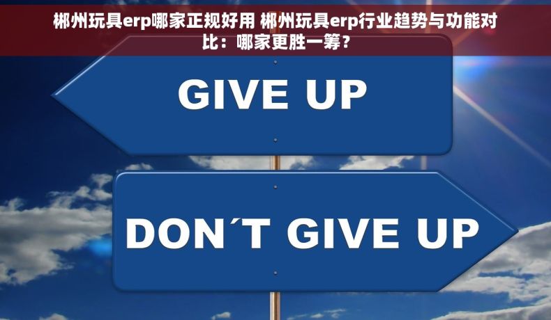 郴州玩具erp哪家正规好用 郴州玩具erp行业趋势与功能对比：哪家更胜一筹？