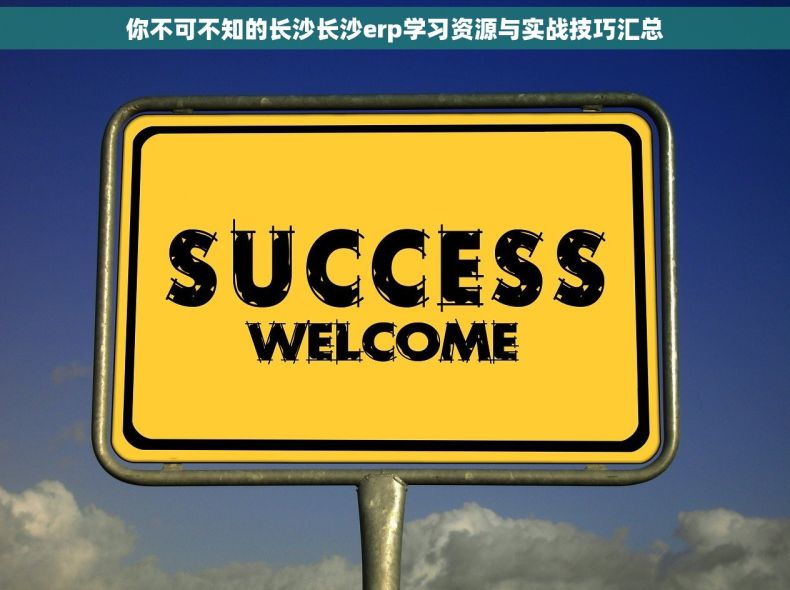 你不可不知的长沙长沙erp学习资源与实战技巧汇总