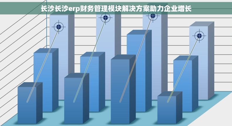 长沙长沙erp财务管理模块解决方案助力企业增长