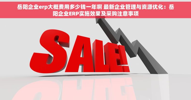 岳阳企业erp大概费用多少钱一年啊 最新企业管理与资源优化：岳阳企业ERP实施效果及采购注意事项