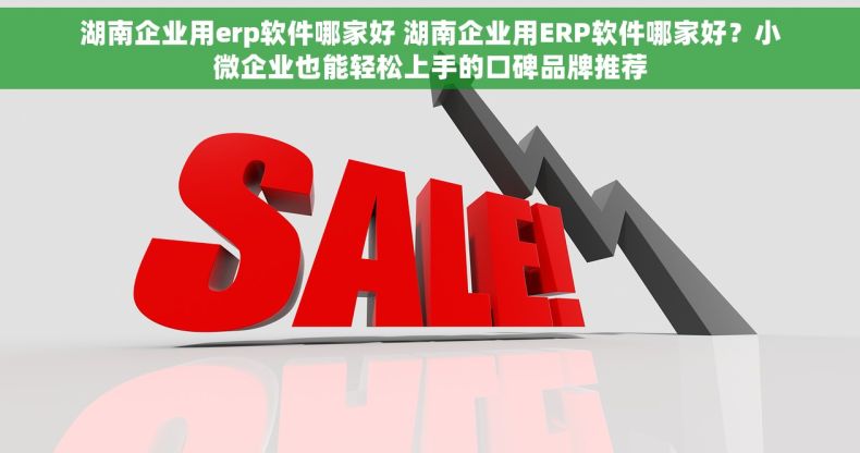 湖南企业用erp软件哪家好 湖南企业用ERP软件哪家好？小微企业也能轻松上手的口碑品牌推荐