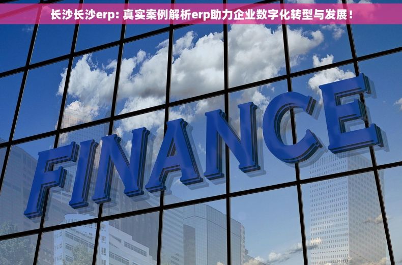 长沙长沙erp: 真实案例解析erp助力企业数字化转型与发展！