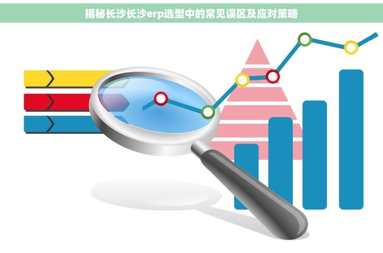 揭秘长沙长沙erp选型中的常见误区及应对策略