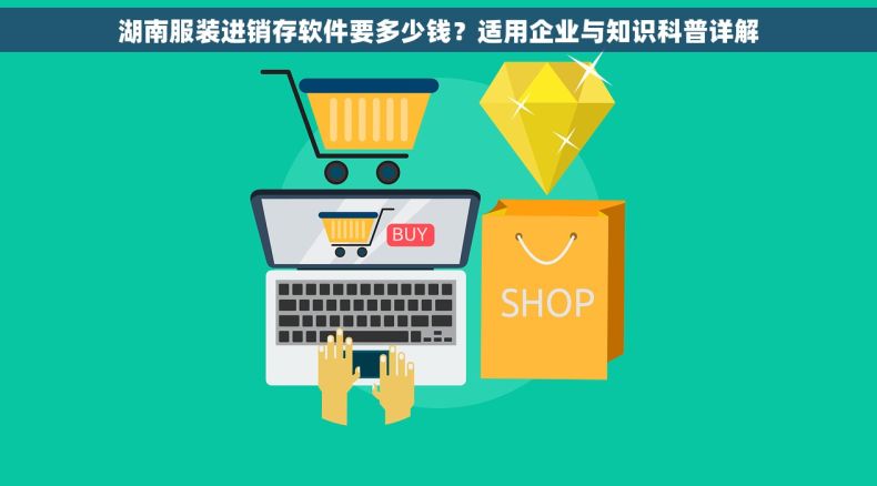 湖南服装进销存软件要多少钱？适用企业与知识科普详解