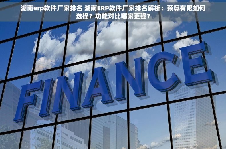 湖南erp软件厂家排名 湖南ERP软件厂家排名解析：预算有限如何选择？功能对比哪家更强？