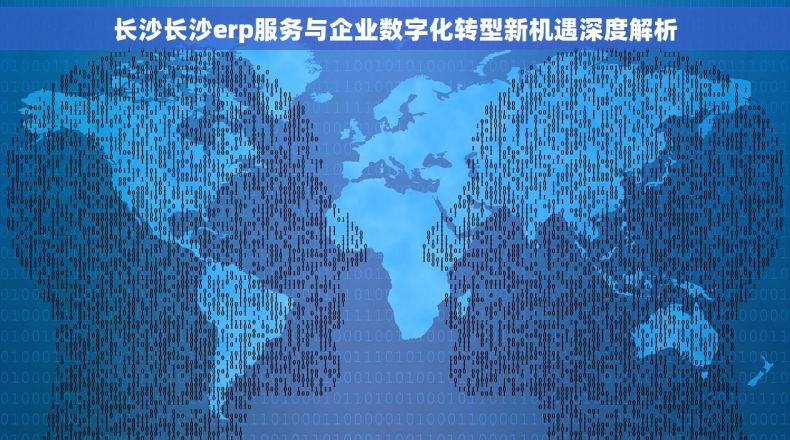 长沙长沙erp服务与企业数字化转型新机遇深度解析