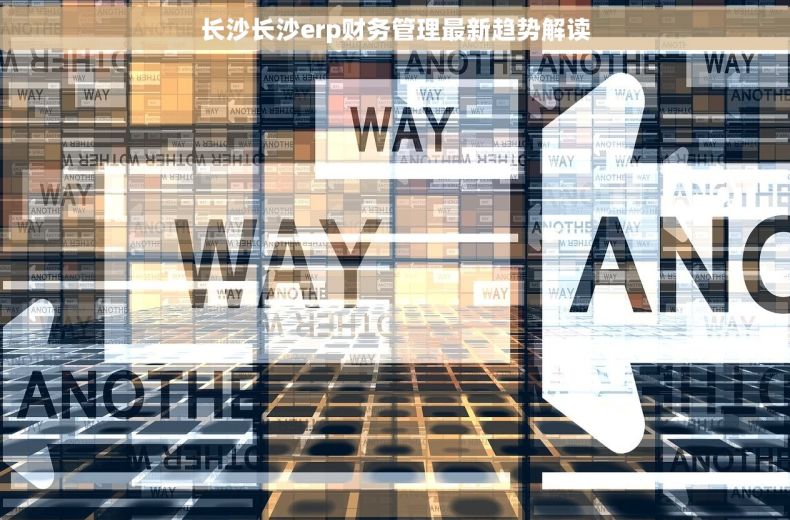 长沙长沙erp财务管理最新趋势解读