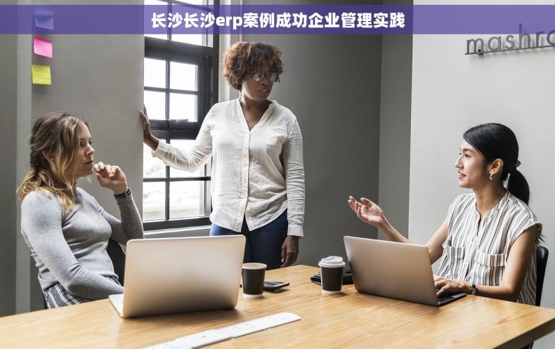 长沙长沙erp案例成功企业管理实践