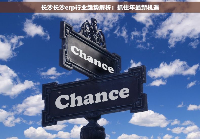 长沙长沙erp行业趋势解析：抓住年最新机遇