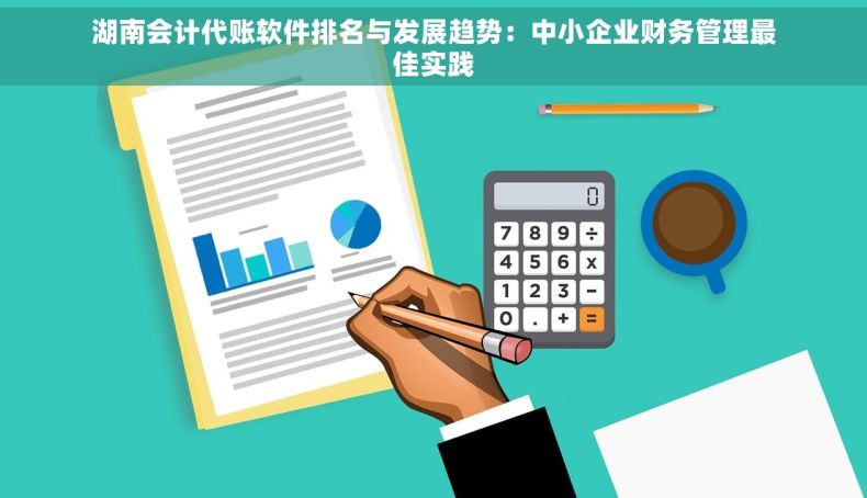 湖南会计代账软件排名与发展趋势：中小企业财务管理最佳实践