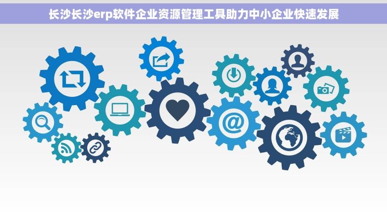 长沙长沙erp软件企业资源管理工具助力中小企业快速发展