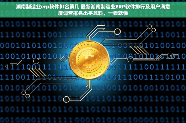 湖南制造业erp软件排名第几 最新湖南制造业ERP软件排行及用户满意度调查排名出乎意料，一看就懂