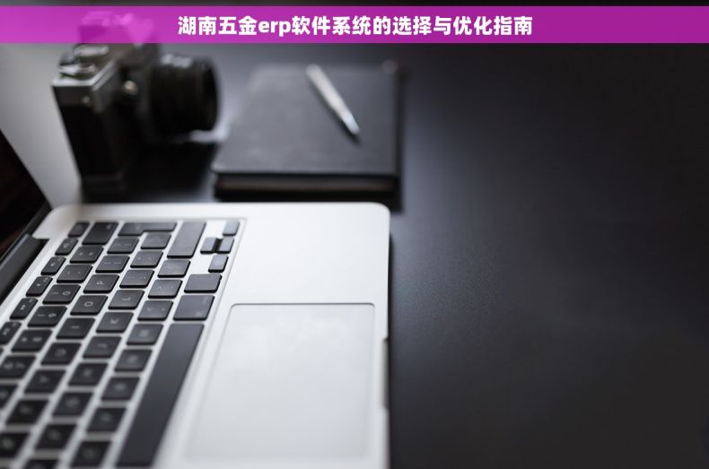 湖南五金erp软件系统的选择与优化指南