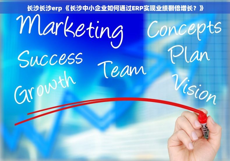 长沙长沙erp 《长沙中小企业如何通过ERP实现业绩翻倍增长？》