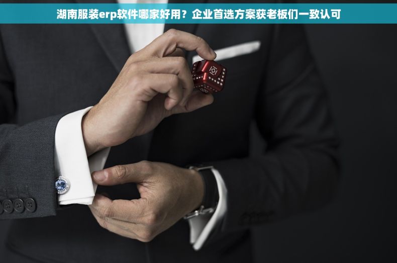 湖南服装erp软件哪家好用？企业首选方案获老板们一致认可