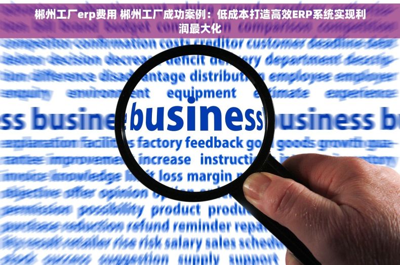 郴州工厂erp费用 郴州工厂成功案例：低成本打造高效ERP系统实现利润最大化