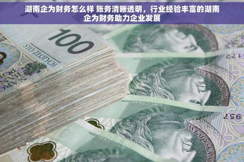 湖南企为财务怎么样 账务清晰透明，行业经验丰富的湖南企为财务助力企业发展
