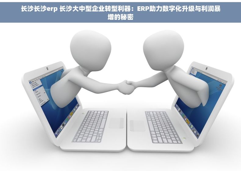 长沙长沙erp 长沙大中型企业转型利器：ERP助力数字化升级与利润暴增的秘密