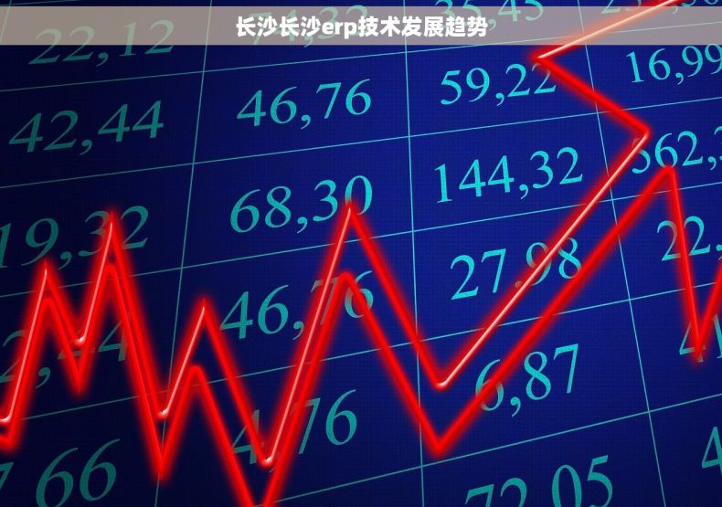 长沙长沙erp技术发展趋势