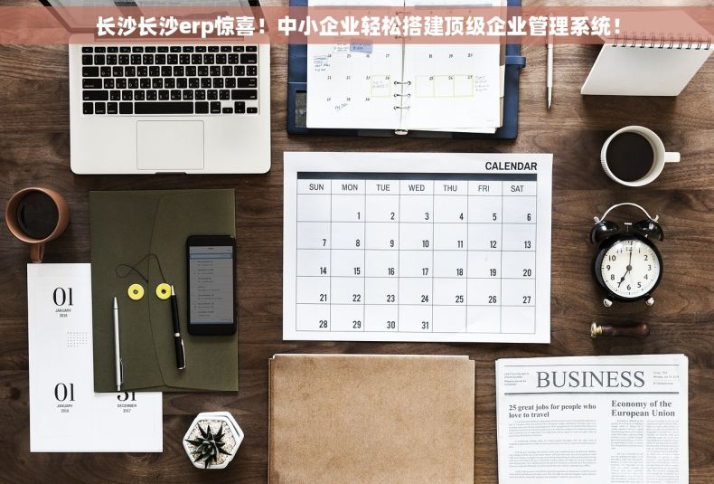 长沙长沙erp惊喜！中小企业轻松搭建顶级企业管理系统！